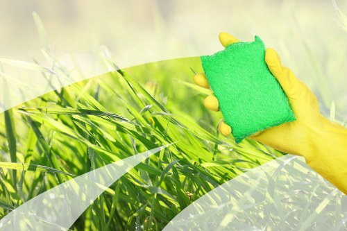 Professional carpet cleaning in a bright living room