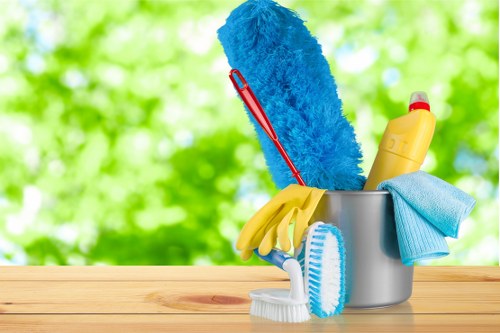 Cleaning a pet stain from carpet in a home setting