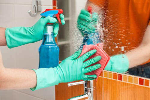 Stain removal supplies and cleaning tools arranged for home use