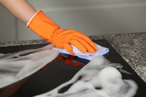 Enzymatic cleaner used for pet odour removal on upholstery