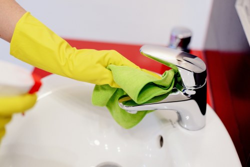 Eco-friendly carpet cleaning process for home interiors
