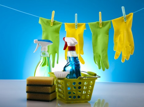 Blotting a fresh pet accident to reduce stains and smells
